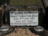 image of grave number 886908